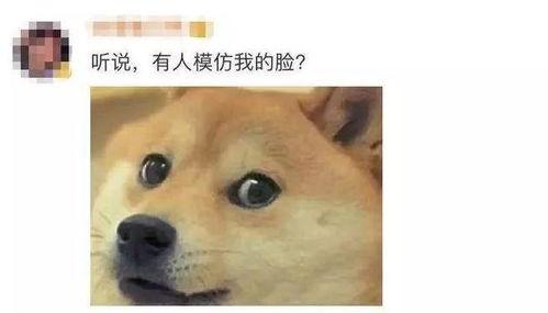 微信表情包吃瓜什么意思,揭秘微信表情包“吃瓜”背后的趣味与内涵