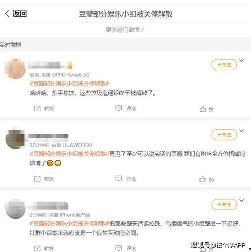娱乐吃瓜小组长,幕后故事与热门事件大盘点